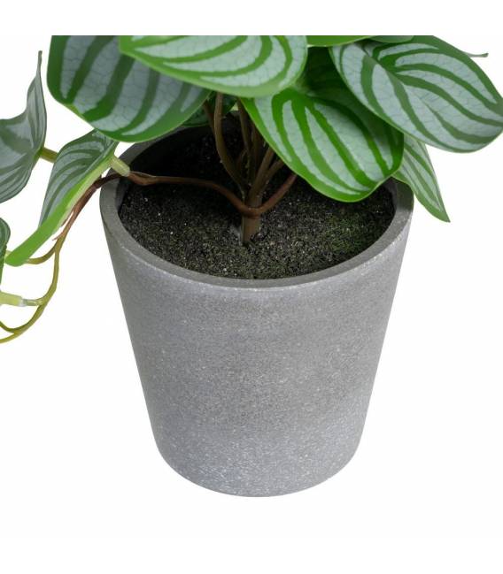 Dirbtinis augalas JERO 25x21 žalias