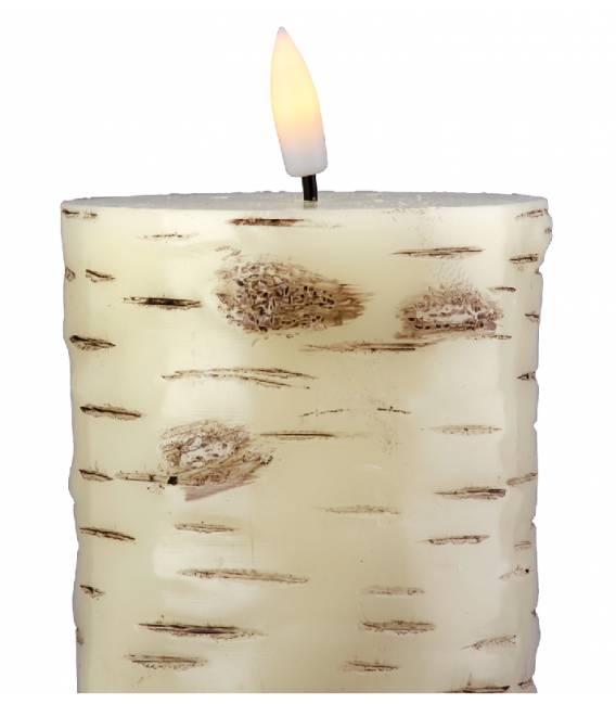 Žvakė BIRKE 8x10h balta