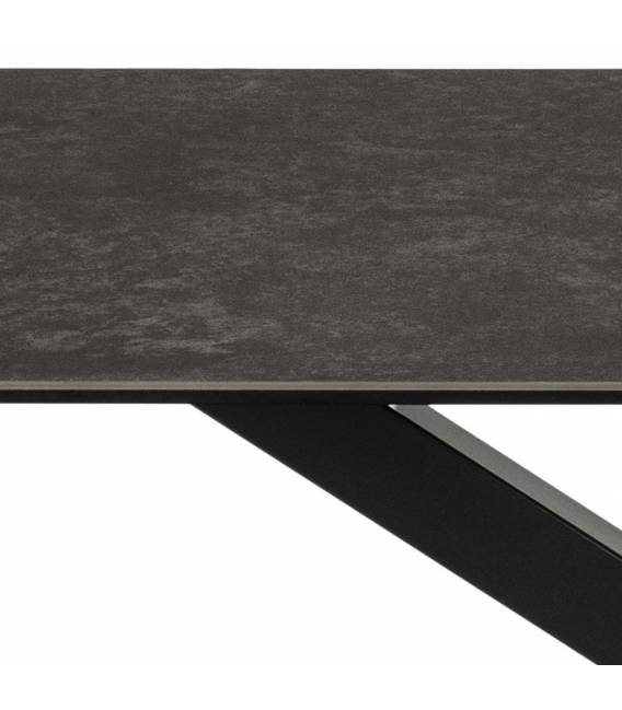 Stalas TERRY 160x90 pilkai rudas