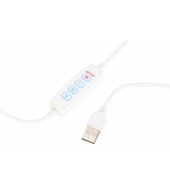 Veidrodis LUMINA 57x167 baltas/LED