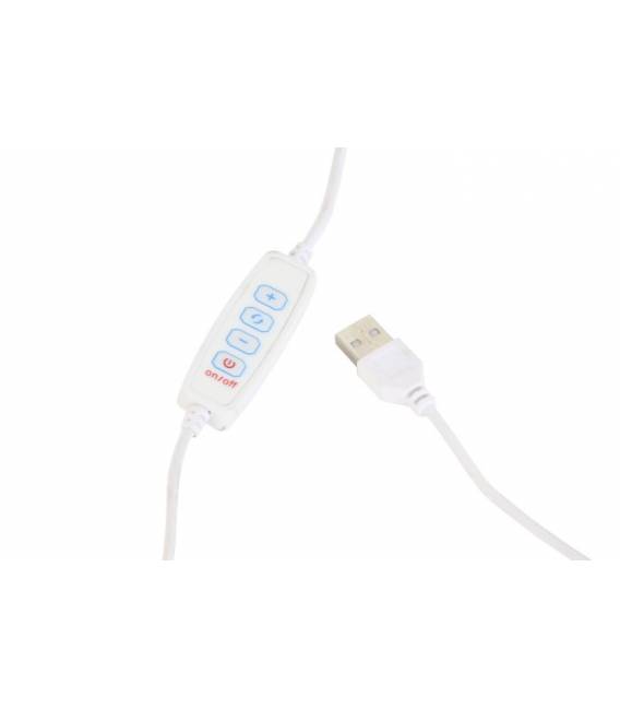 Veidrodis LUMINA 67x167 baltas/LED