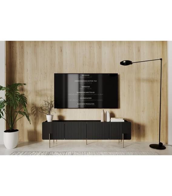 TV spintelė MALMI 200x42 juoda/auksinės kojos