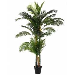 Dirbtinis augalas ARECA 130x210h žalias
