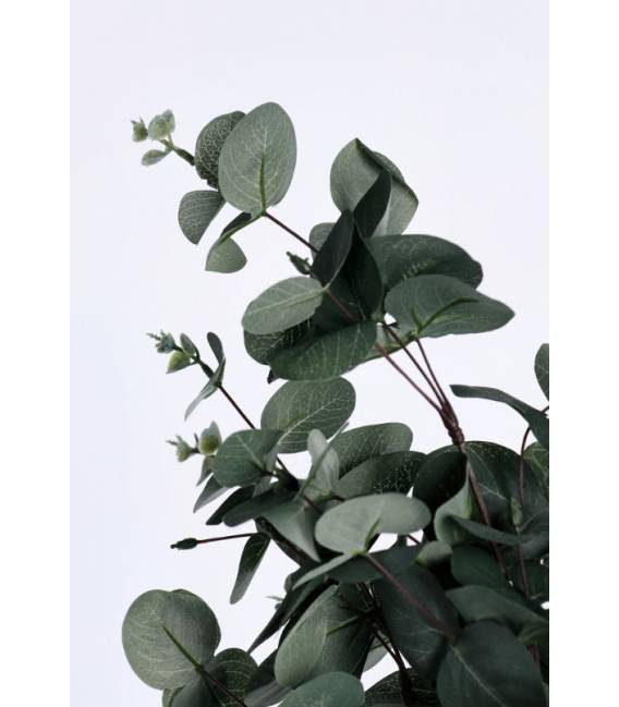 Dirbtinis augalas EUCAL Ø46x90h žalias