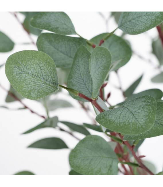 Dirbtinis augalas EUCAL 80x180h žalias