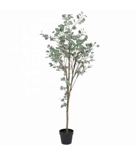 Dirbtinis augalas EUCAL 80x180h žalias