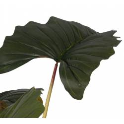 Dirbtinis augalas ALOCA 185h žalias