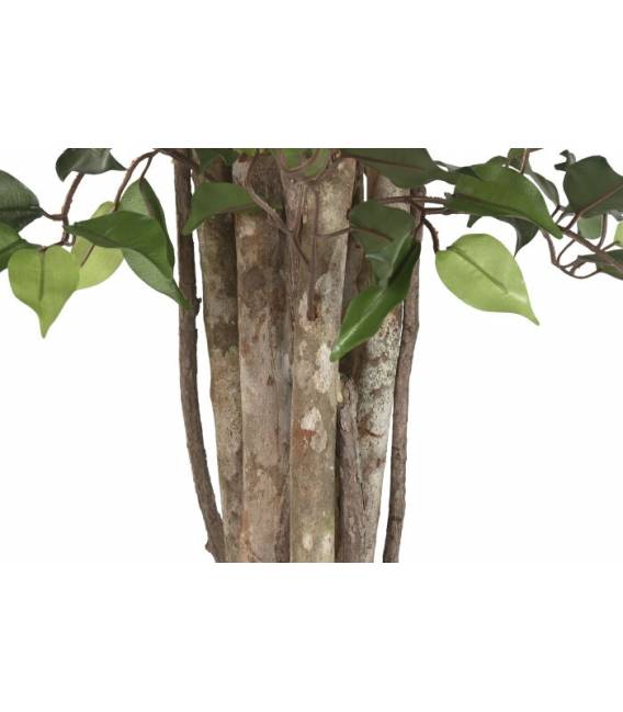 Dirbtinis augalas FICUS 100x210 žalias