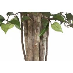 Dirbtinis augalas FICUS 100x210 žalias