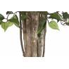 Dirbtinis augalas FICUS 100x210 žalias