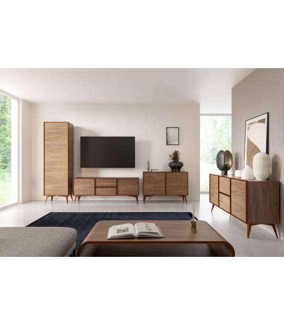 TV spintelė MERO 160x38 ruda