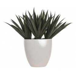 Dirbtinis augalas MAGNESIA 60x60 žalias