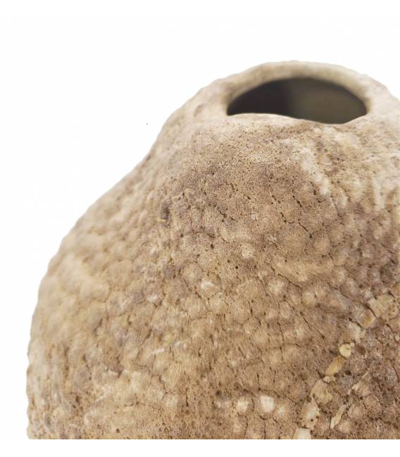 Vaza GRANO 20x37h smėlio