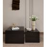Kavos staliukų komplektas 12673 50x50/40x40 juodas (2vnt.)